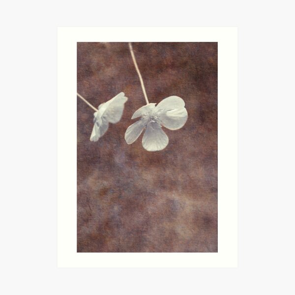 deux Art Print