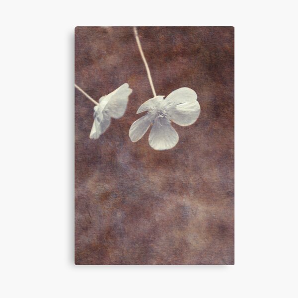 deux Canvas Print