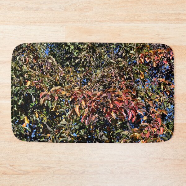 Item preview, Autumn landscape, leaves. designed and sold by Marcu Ioachim.