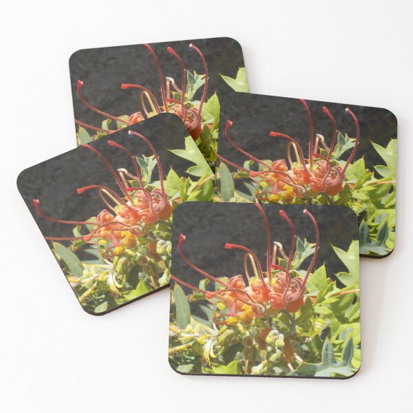 Item preview, Grevillea bipinnatifida  (Fuchsia Grevillea) designed and sold by lezvee.
