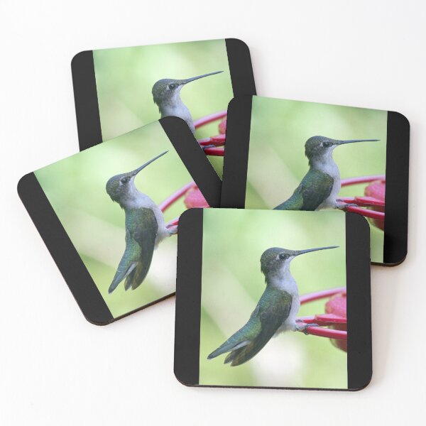 Item preview, Sitting pretty - er - handsome designed and sold by WalnutHill.