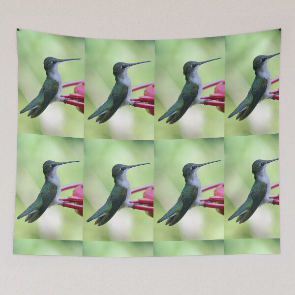 Item preview, Sitting pretty - er - handsome designed and sold by WalnutHill.