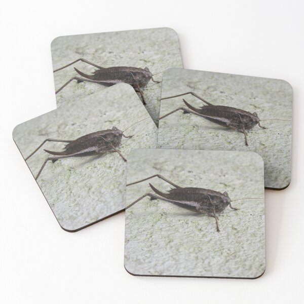 Item preview, Bush Cricket designed and sold by lezvee.