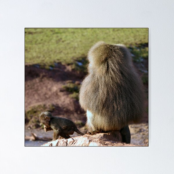 Item preview, Monkey See Monkey Do designed and sold by Michelle Booth.