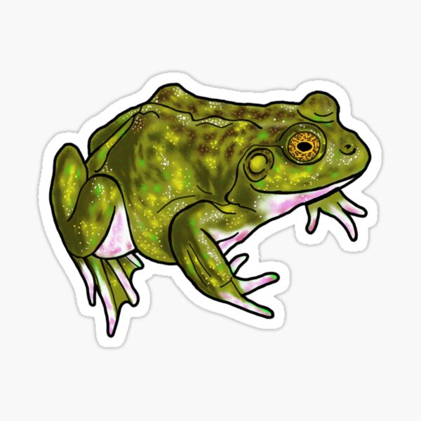 Pablo the Frog  Sticker