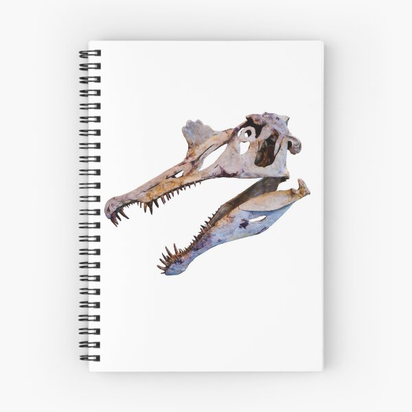 Item preview, Spinosaurus Dinosaur Fossil Skull designed and sold by Jim Plaxco.