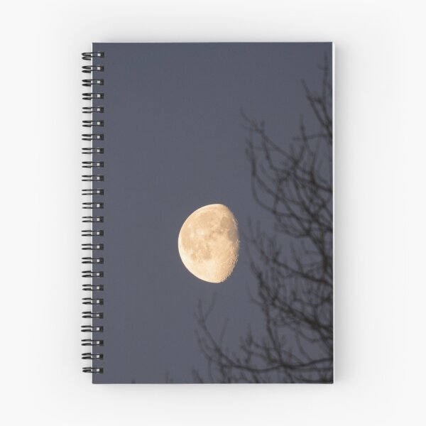 Item preview, Early morning waxing Moon, branches designed and sold by Andy Chisholm.