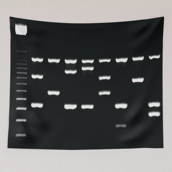 Item preview, Gel Electrophoresis Fun designed and sold by Geek-topia.