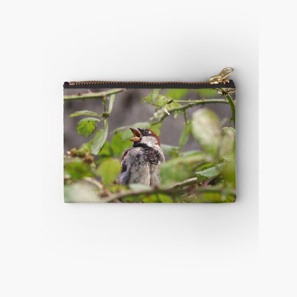 Item preview, Singing sparrow designed and sold by GreyFeatherPhot.