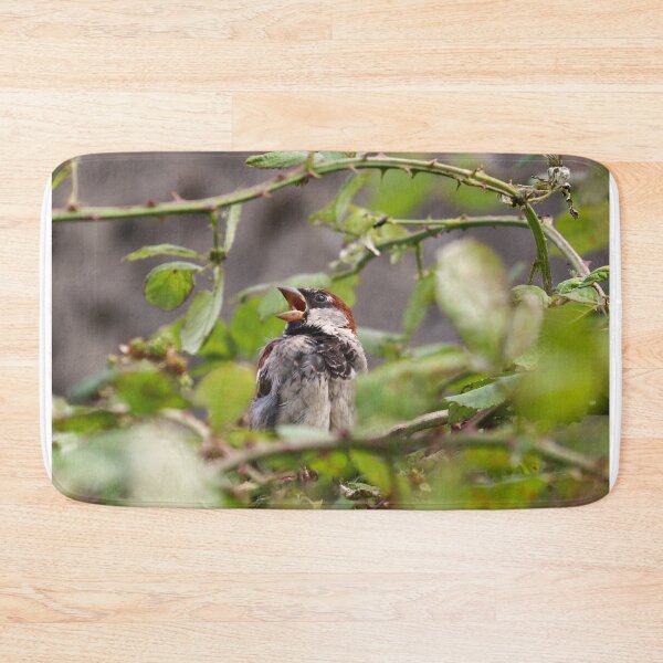 Item preview, Singing sparrow designed and sold by GreyFeatherPhot.
