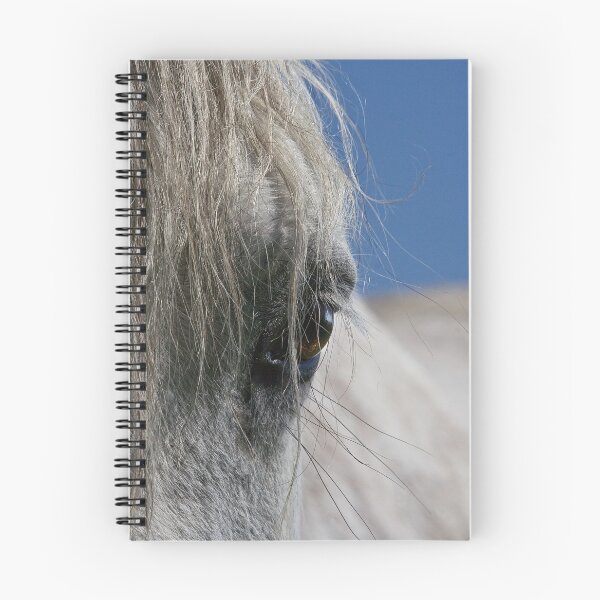 Item preview, Pony Eye designed and sold by Nick Pound.