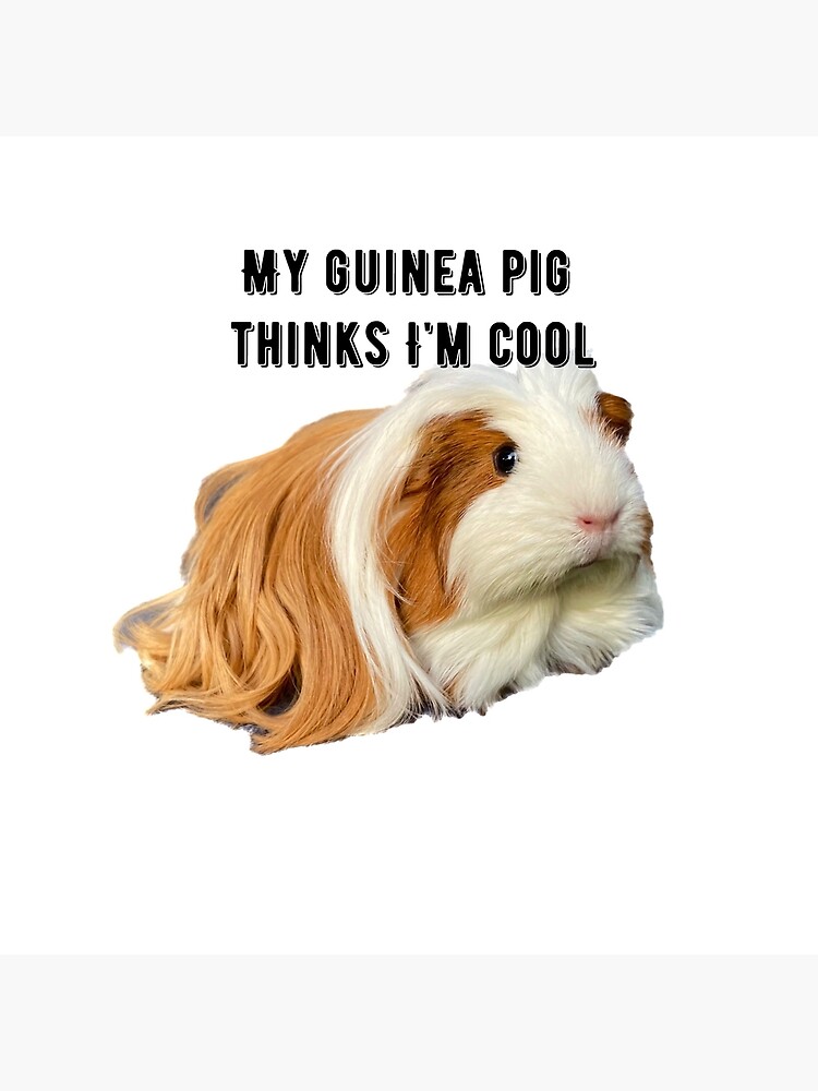 guinea pig cooling pad