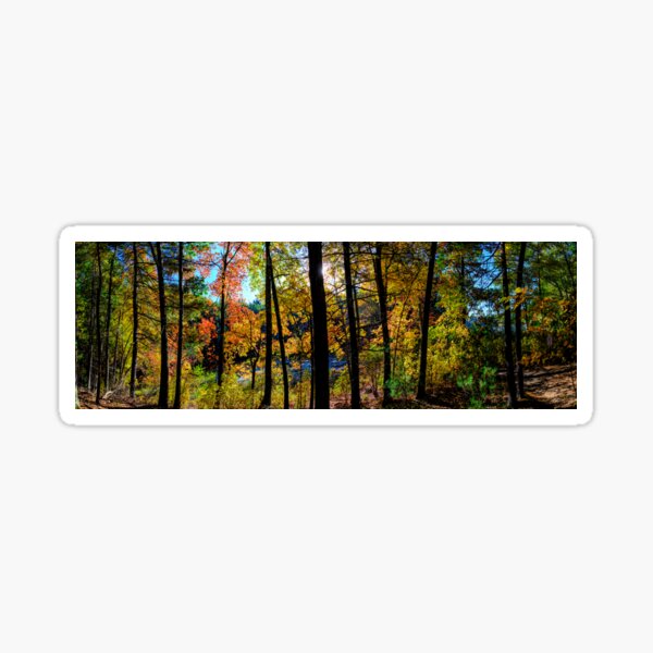 Walden Pond Autumn Forest in Concord Massachusetts Sticker