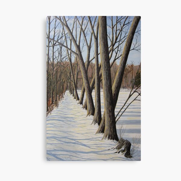 Millpond Winter Trail -2 (c) Ian Ridpath 2010 Canvas Print