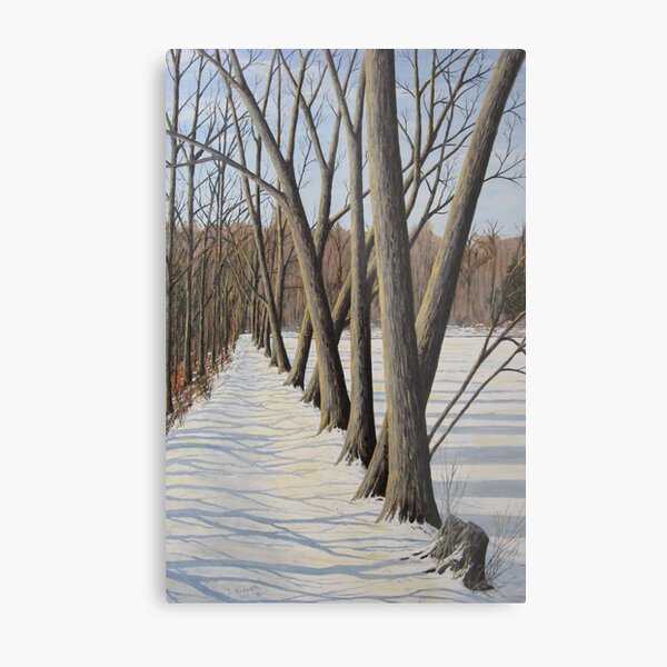Millpond Winter Trail -2 (c) Ian Ridpath 2010 Metal Print