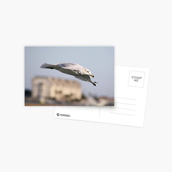Item preview, Sea Gull over the Marsh designed and sold by Paulette1021.