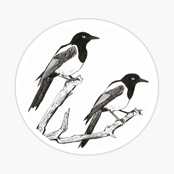 Magpies Sticker