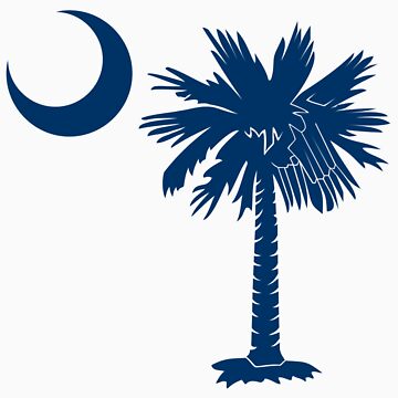 Artwork thumbnail, Blue Palmetto Moon by palmetto