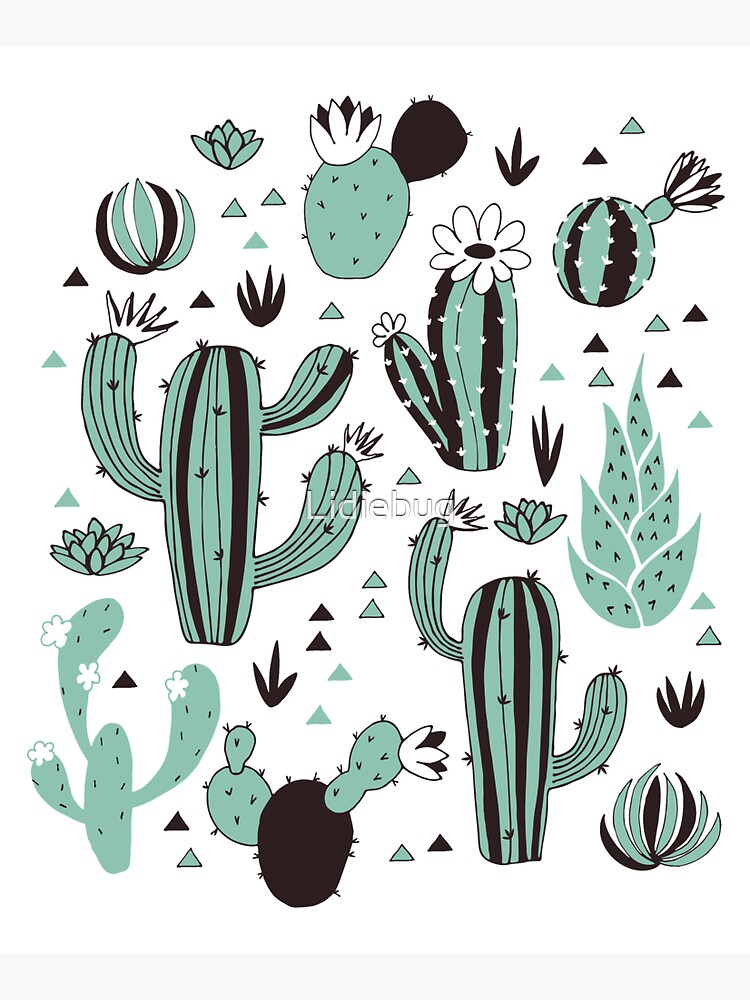Cacti by Lidiebug