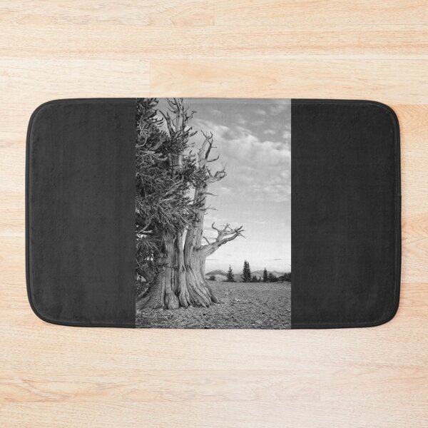 Item preview, Bristlecone Pine designed and sold by CarolM.