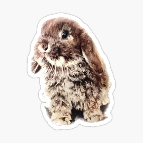 3D adorable bunny painting Sticker