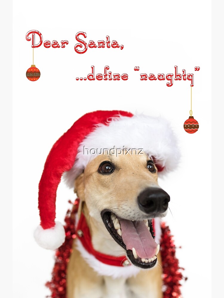 Dear Santa Define Naughty Christmas Dog - Christmas Gift For Dog