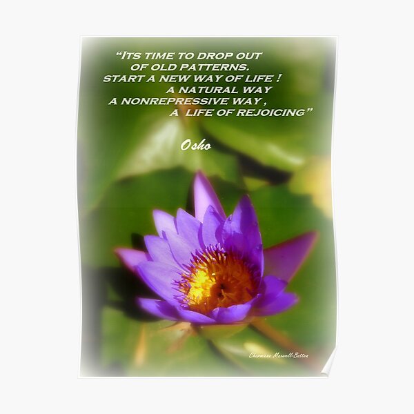 Osho's Words of Wisdom Poster