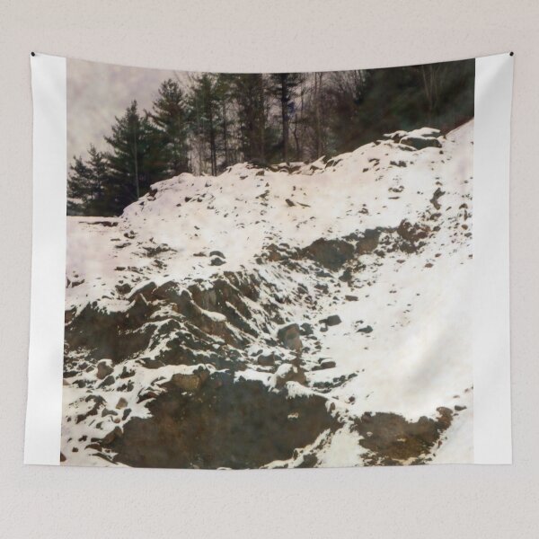 Item preview, Chasing Andrew Wyeth designed and sold by Elizabeth "Tibby" Steedly.
