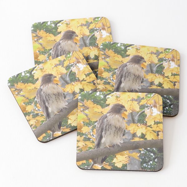 Item preview, Hawkish designed and sold by MarianBendeth.