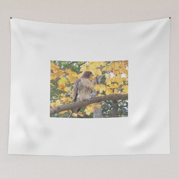 Item preview, Hawkish designed and sold by MarianBendeth.