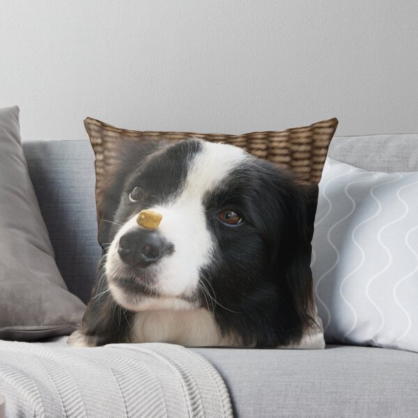 Item preview, Ollie......... c'mon, c'mon, how long do I have to wait......?? designed and sold by Roy  Massicks.