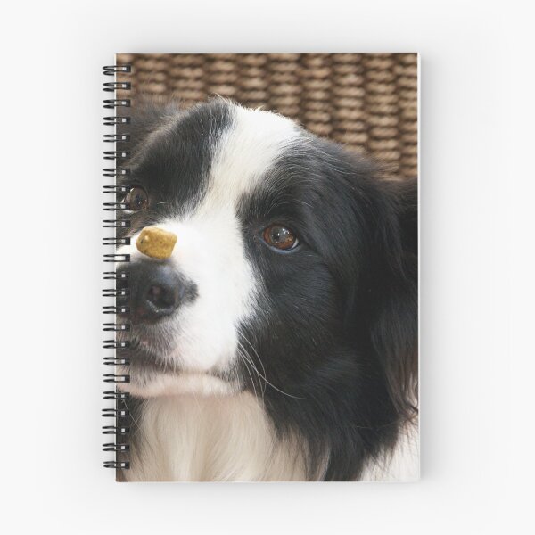 Item preview, Ollie......... c'mon, c'mon, how long do I have to wait......?? designed and sold by Roy  Massicks.