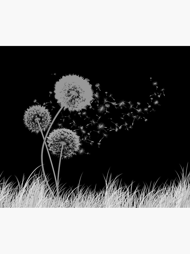 Dandelion Wishes on Black by DolphinPod