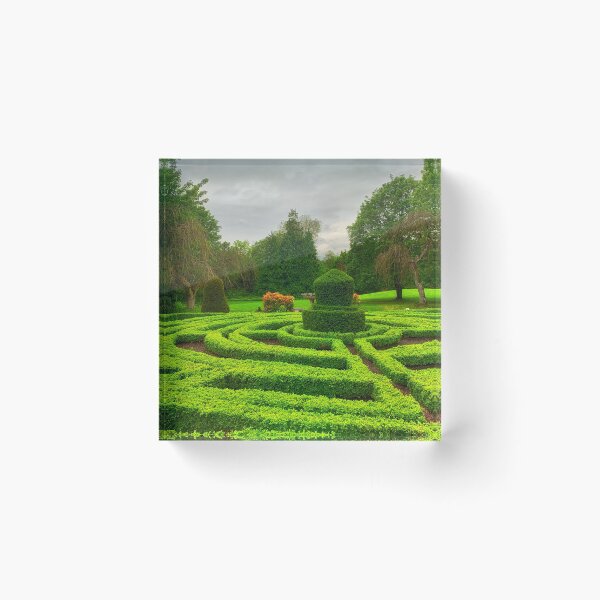 Item preview, Maze Garden, Dundee, Scotland designed and sold by Yannik Hay.