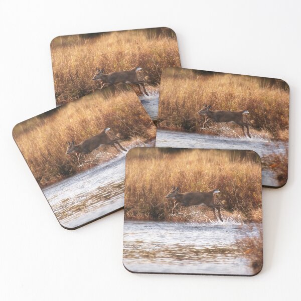 Item preview, White Tail Deer jumping into the Creek - Parc National Mont Tremblant designed and sold by Yannik Hay.