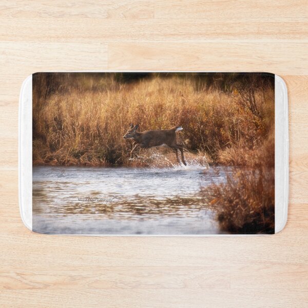 Item preview, White Tail Deer jumping into the Creek - Parc National Mont Tremblant designed and sold by Yannik Hay.