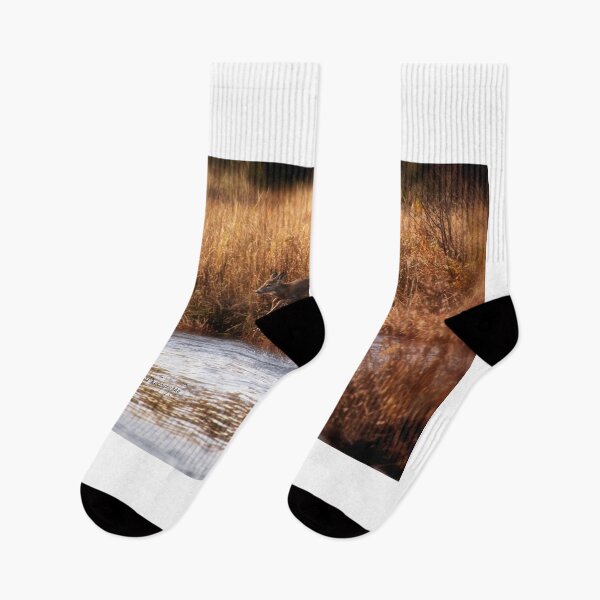 Item preview, White Tail Deer jumping into the Creek - Parc National Mont Tremblant designed and sold by Yannik Hay.