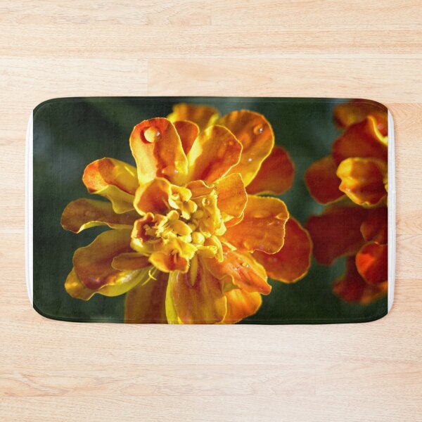 Item preview, Outdoor Close Ups and Macros (9) designed and sold by Wolf Sverak Photography.