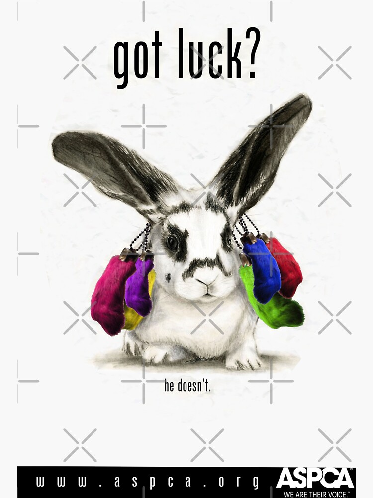 Got Luck Bunny ASPCA Animal Advocacy by tinaschofield