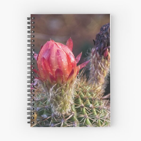 Item preview, Outdoor Close Ups and Macros (3) designed and sold by Wolf Sverak Photography.