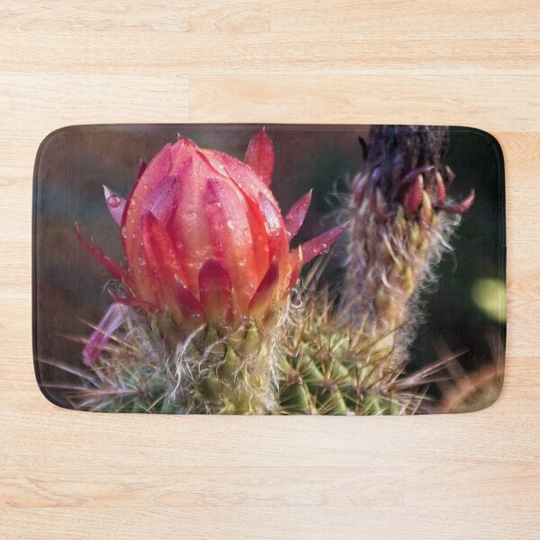 Item preview, Outdoor Close Ups and Macros (3) designed and sold by Wolf Sverak Photography.