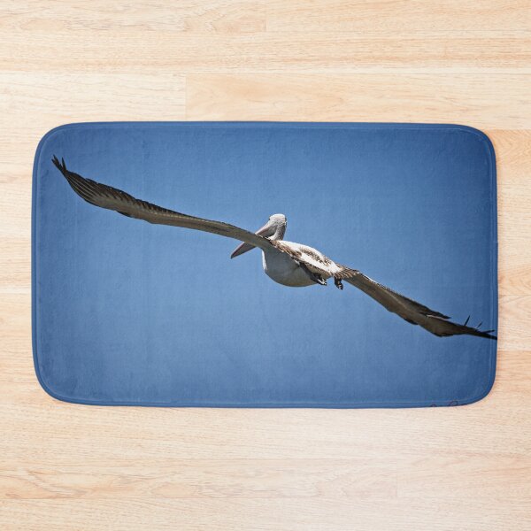 Item preview, Pelican in flight (in Batemans Bay/NSW/Australia) (1) designed and sold by Wolf Sverak Photography.