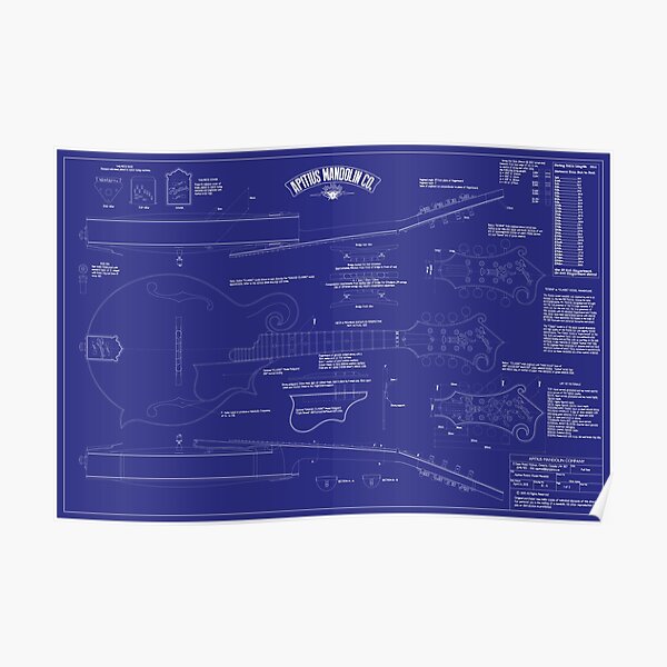 Apitius Mandolin Blueprint Poster - Blue Background Poster