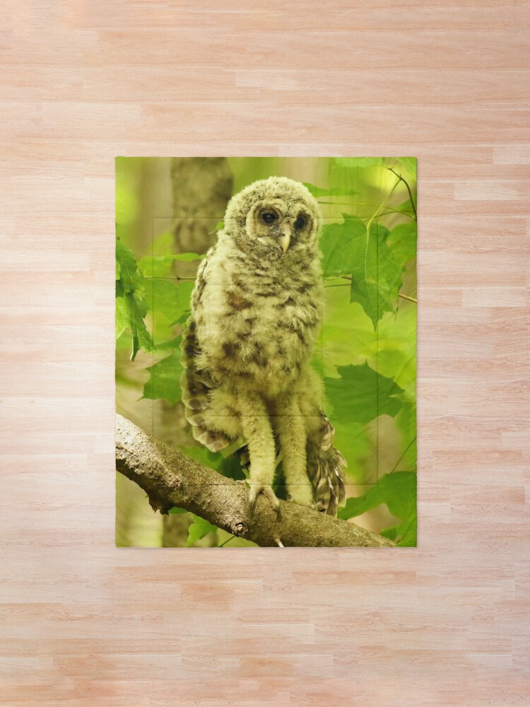 Long Legs New Video In Description Comforter By Locustgirl Redbubble