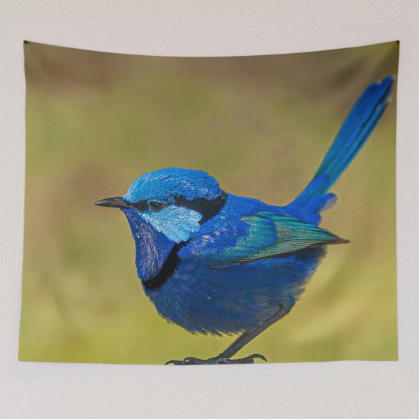 Item preview, A Splendid Fellow designed and sold by metriognome.
