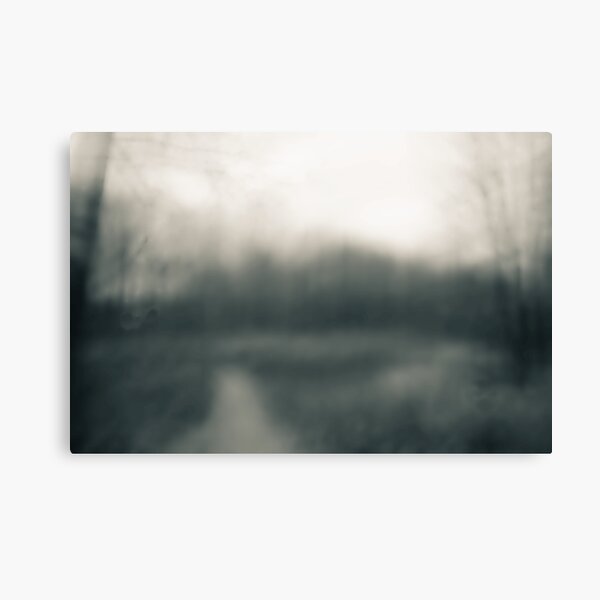 A Lane And Meadow In Winter Canvas Print
