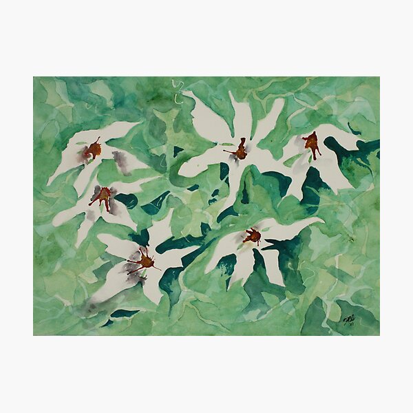 Item preview, Daisies designed and sold by Joyce Sousa.