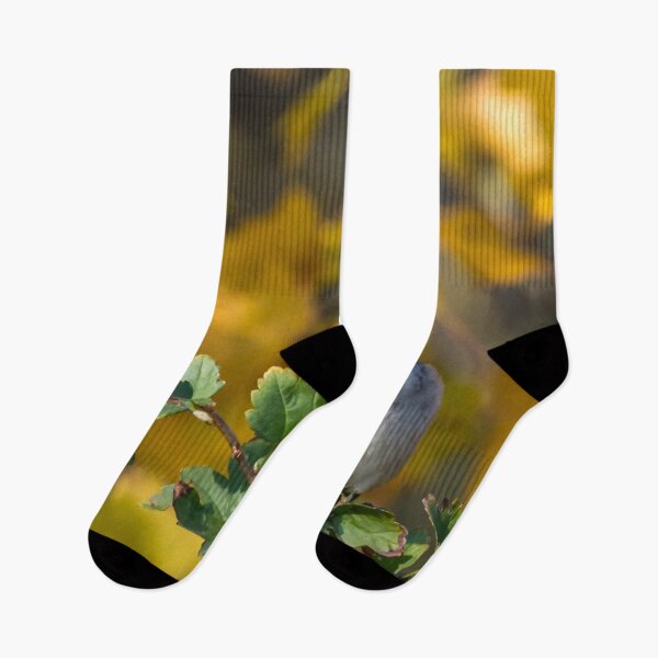 Item preview, Sparrow Watching People walk by on a Sunny Autumn Day designed and sold by Jon Shore.