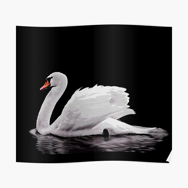 BB127 Mute Swan male Vintage Poster White Swan Antique Print Vintage Birds Poster White Swan Retro Print