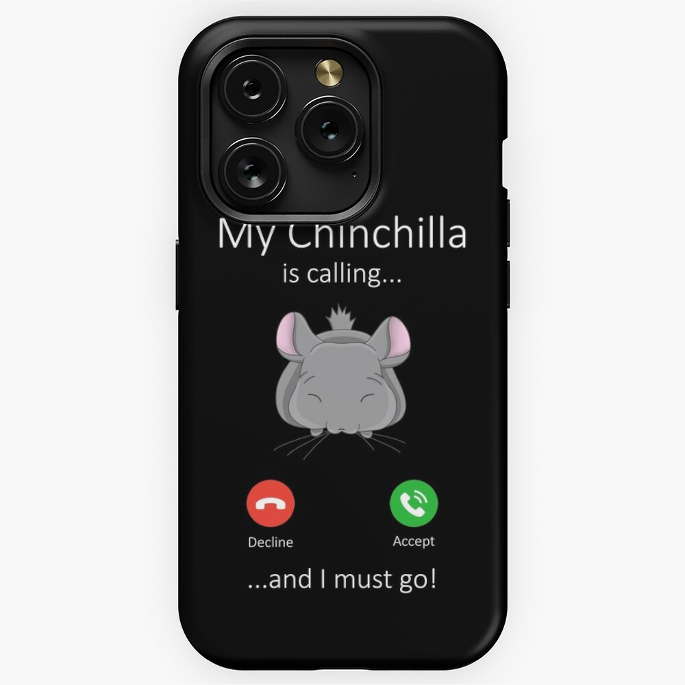 My Chinchilla is calling